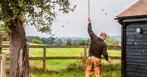 Cider Seasons: Autumn