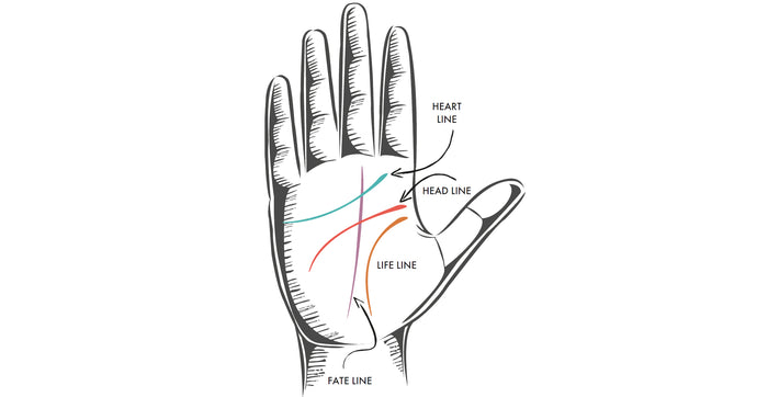 Palmistry: The Four Major Lines