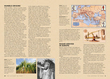 The Curious Bartender’s Guide to Rum