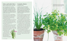 The Herb Kitchen