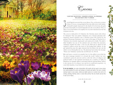 The Secret Language of Flowers