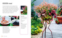 Small Summer Gardens
