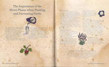 The Green Wiccan Book of Herbs