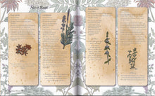 The Green Wiccan Book of Herbs