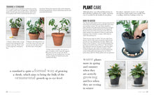 The Joy of Living with Plants
