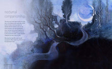 A Magical Night Journey