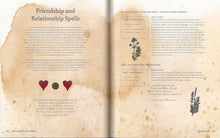 The Green Wiccan Book of Herbs