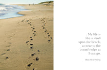 Seaside Inspirations