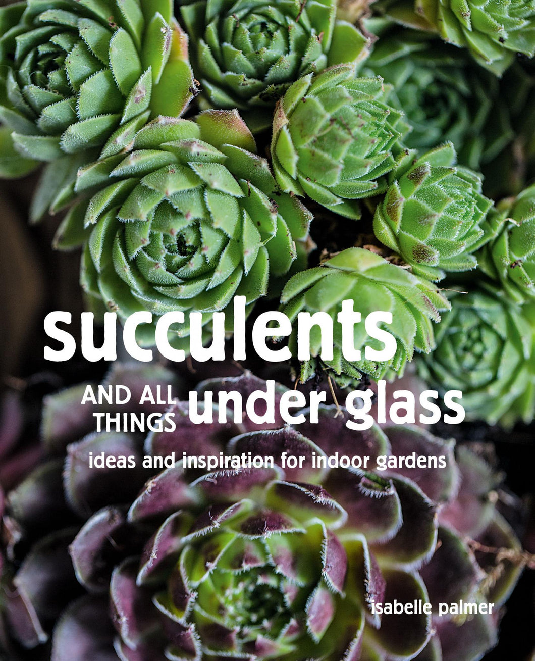 Succulents and All things Under Glass